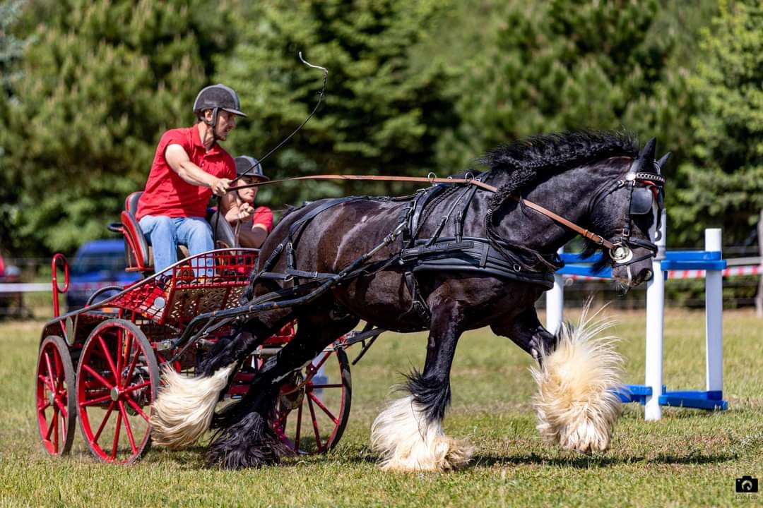 Lord Lancelot from Strachovice